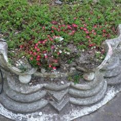 DSC_0298.JPG