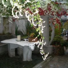 Eisbärtisch im Herbst