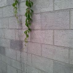 Fassade im Quader-Design
