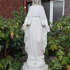 20190216_080205.jpg